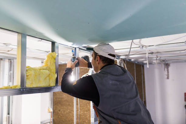 Best Fiberglass Insulation in Hallettsville, TX