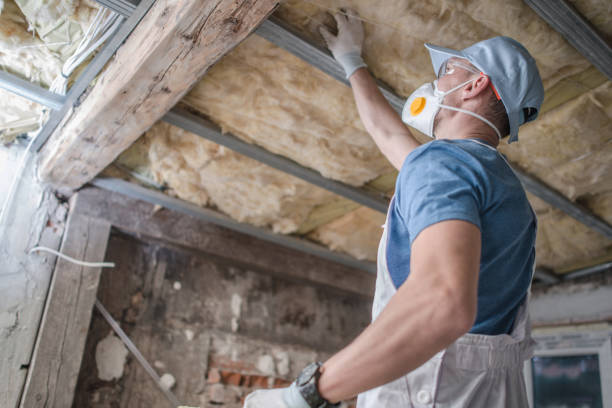 Best Residential Insulation in Hallettsville, TX