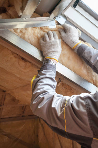 Best Spray Foam Insulation in Hallettsville, TX