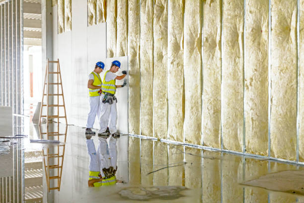 Trusted Hallettsville, TX Insulation Contractor Experts